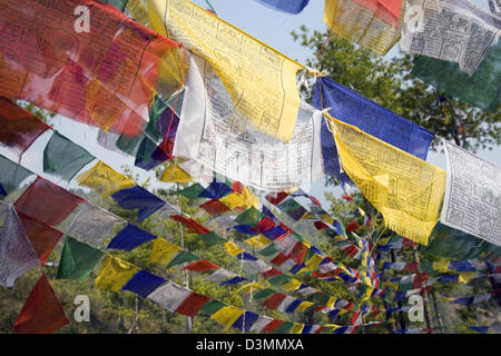 Les drapeaux de prières, au sommet d'une montagne surplombant la capitale de Thimphu, Bhoutan, Asie Banque D'Images