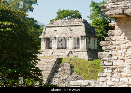 Il s'agit d'une image de ruines Mayas à Palenque, Chiapas, Mexique. Banque D'Images