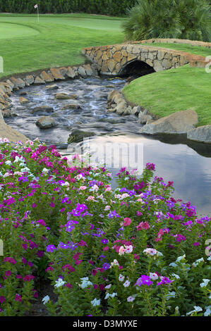 Stream et les impatiens fleurs avec pont au cours GOF. Palm Desert, Californie Banque D'Images