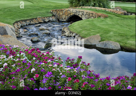 Stream et les impatiens fleurs avec pont au cours GOF. Palm Desert, Californie Banque D'Images