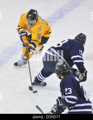 Quinnipiac University Vs UCONN match de hockey d'action. 2/22/2013. Il fait Quinnipiac aux championnats nationaux en 2013 Banque D'Images