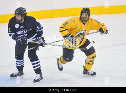 Quinnipiac University Vs UCONN match de hockey d'action. 2/22/2013. Il fait Quinnipiac aux championnats nationaux en 2013 Banque D'Images