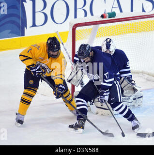 Quinnipiac University Vs UCONN match de hockey d'action. 2/22/2013. Il fait Quinnipiac aux championnats nationaux en 2013 Banque D'Images