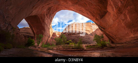 Panorama de Lobo Arch (alias Jacob Hamblin Arch) Coyote Gulch, un affluent de l'Escalante River dans le sud de l'Utah. Banque D'Images