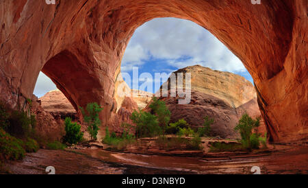 Panorama de Lobo Arch (alias Jacob Hamblin Arch) Coyote Gulch, un affluent de l'Escalante River dans le sud de l'Utah. Banque D'Images