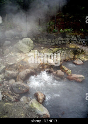 (Afp) - l'image montre hot springs avec l'augmentation de vapeur de soufre dans la vallée de Furnas sur l'île de São Miguel, Açores, Portugal, 04 avril 2005. Photo : Juergen Darmstaedter Banque D'Images