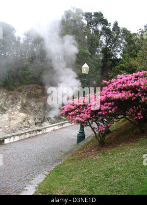 (Afp) - l'image montre une source d'eau chaude avec des vapeurs de soufre dans la vallée de Furnas sur l'île de São Miguel, Açores, Portugal, 04 avril 2005. Photo : Juergen Darmstaedter Banque D'Images