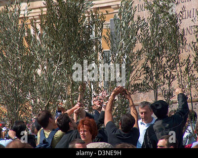 (Afp) - des fichiers à partir de brindilles pause croyants oliviers dans la Cité du Vatican, le dimanche 20 mars 2005. Les arbres avaient été bénis par le Pape Jean Paul II, mort sous la grande sympathie du public le 2 avril 2005. Photo : Lars Halbauer Banque D'Images