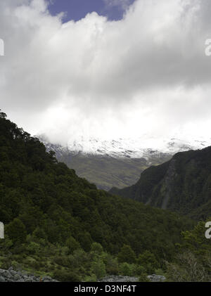 Vues sur le chemin sur le Glacier Rob Roy Track, Mt aspirant National Park, près de Wanaka, Nouvelle-Zélande Banque D'Images