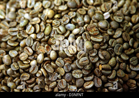 La photo montre un échantillon de café vert dans le groupe Neumann Kaffee café cru centre à Hamburg-Wilhelmsburg, Allemagne, le mardi 14 février 2006. Près de 300 000 tonnes de café sont produits chaque année dans le monde le café cru le plus avancé au centre. Le Groupe Neumann Kaffee fonctionne pour tous les producteurs de café allemand et offre des services de l'entreposage à la purification et la compos Banque D'Images