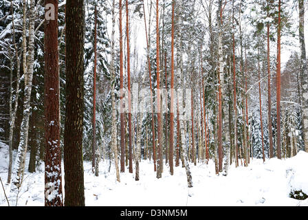 Ressources renouvelables Banque D'Images