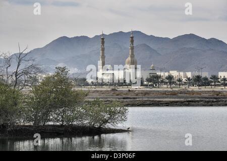 Kayak à Kalba Sharjah (Émirat) sur la plus ancienne mangrove Saoudite. Banque D'Images