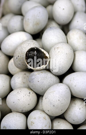 (Afp) - Des œufs noirs sont en vente au marché à Beijing, Chine, 29 juin 2006. Une fois les œufs ayant été enterrée pendant un à trois mois sous terre ils sont offerts comme un mets délicat. Photo : Lars Halbauer Banque D'Images