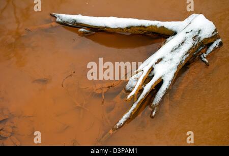 Vue de la couleur brun-rouge de l'eau dans un ruisseau près de Ragow Luebben, Allemagne, 22 février 2013. L'eau est devenu rouge par des niveaux élevés de fer hydroxise et soufre. Photo : PATRICK PLEUL Banque D'Images