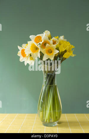 Cheerful jonquilles coupées dans un vase en verre sur une nappe jaune vérifier avec un fond vert Banque D'Images