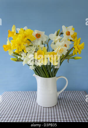 Cheerful mixed cut jonquilles dans un pot blanc sur une nappe vichy vérifier avec un fond bleu Banque D'Images