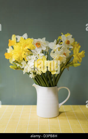 Cheerful mixed cut jonquilles dans un pot blanc sur une nappe jaune vérifier avec un fond vert Banque D'Images