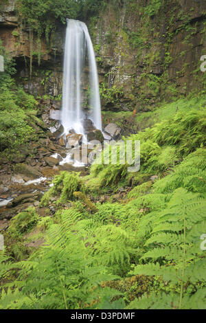 Melin (également Cour Melin Cwrt) cascade Resolven Vallée de Neath Neath Port Talbot & South Wales UK Banque D'Images