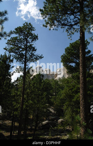 Vue du ciel bleu, grâce à l'abattage d'arbres de pins roches, les présidents américains, le Mont Rushmore Monument, Black Hills, Dakota du Sud, USA Banque D'Images