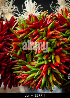Rista frais exposés au marché agricole local. La légende l'a, dans le sud-ouest, que la pendaison chili ristras porte bonheur si accroché à l'entrée de la maison. Banque D'Images