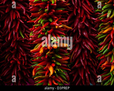 Rista frais exposés au marché agricole local. La légende l'a, dans le sud-ouest, que la pendaison chili ristras porte bonheur si accroché à l'entrée de la maison. Banque D'Images