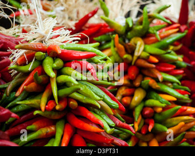 Rista frais exposés au marché agricole local. La légende l'a, dans le sud-ouest, que la pendaison chili ristras porte bonheur si accroché à l'entrée de la maison. Banque D'Images
