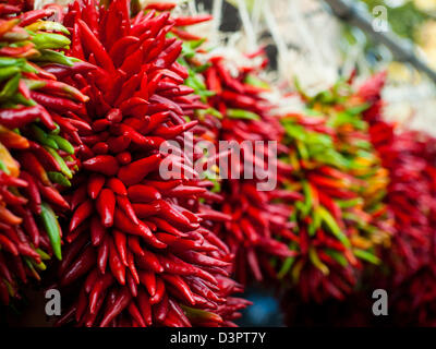 Rista frais exposés au marché agricole local. La légende l'a, dans le sud-ouest, que la pendaison chili ristras porte bonheur si accroché à l'entrée de la maison. Banque D'Images