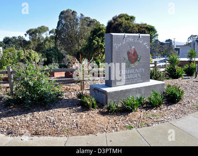 Le petit coq rouge jardin communautaire Banque D'Images