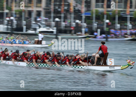 Sydney, Australie. 23 février 2013. Les participants sont en concurrence sur le Dragon Boat Race 2013 sous les conditions climatiques extrêmes le 23 février 2013 à Cockle Bay, Darling Harbour, Sydney, Australie. Dragon Boat Race 2013 est une partie de célébrer le Nouvel An chinois. (Crédit Image : Crédit : Sijori Images/ZUMAPRESS.com/Alamy Live News) Banque D'Images