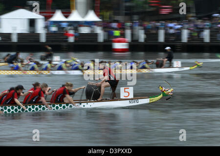 Sydney, Australie. 23 février 2013. Les participants sont en concurrence sur le Dragon Boat Race 2013 sous les conditions climatiques extrêmes le 23 février 2013 à Cockle Bay, Darling Harbour, Sydney, Australie. Dragon Boat Race 2013 est une partie de célébrer le Nouvel An chinois. (Crédit Image : Crédit : Sijori Images/ZUMAPRESS.com/Alamy Live News) Banque D'Images