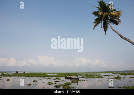 Les touristes dans un canot, Kerala Backwaters, Alappuzha District, Kerala, Inde Banque D'Images