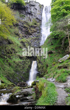 Cascade de Rhaeadr Pistyll Nr Chambre ym Mochnant Powys Pays de Galles Cymru UK GO Banque D'Images