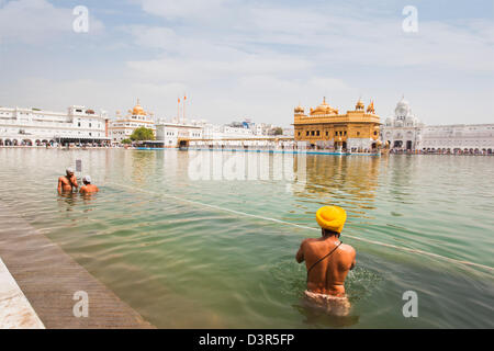 Pèlerins sikhs se baigner dans l'étang de Nectar au Golden Temple à Amritsar, Punjab, India Banque D'Images