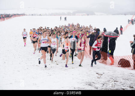 Herrington Country Park, Sunderland, Royaume-Uni. 23 février 2013. Championnats nationaux de cross-country 2013. Course des filles dans la neige. Credit : imagerie Washington / Alamy Live News Banque D'Images