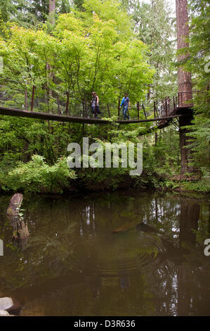 North Vancouver, Canada, les touristes dans les cimes Aventures Banque D'Images