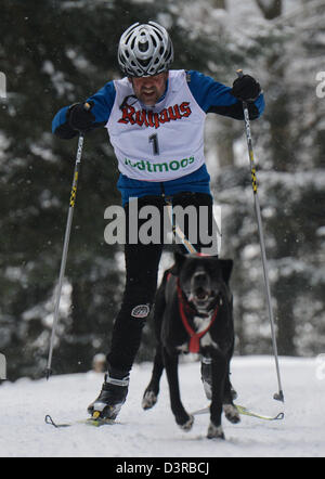 Todtmoos, Allemagne. 23 février 2013. Peter Habel de Allemagne de skis de fond avec son chien dans le bois à la course internationale de traîneaux à Todtmoos, Allemagne, 23 février 2013. Environ 120 équipes de six pays participent à la course de deux jours. Photo : PATRICK SEEGER/dpa/Alamy Live News Banque D'Images