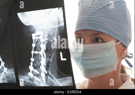 Femme médecin à la recherche à la moelle X-ray Banque D'Images