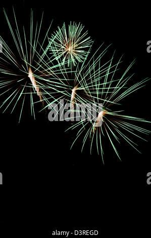 D'artifice, feux verts Banque D'Images