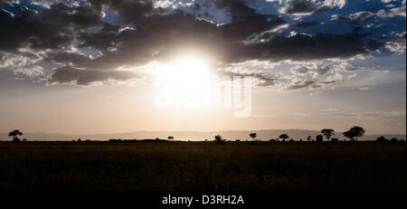 Le soleil se couche sur le Serengeti. Tanzanie Banque D'Images