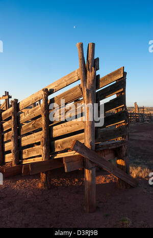 Chute de bétail dans un ranch dans le Nord de l'Arizona. Banque D'Images