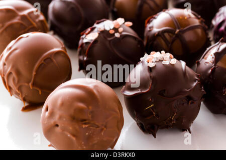 Truffes truffes gastronomiques faits à la main par chocolatier. Banque D'Images