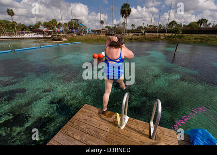 Spring Hill, Florida, US. Feb 23, 2013. Ancien sirènes retour à effectuer à la Sirène Show à Weeki Wachee Springs, qui a été la base de ''old school'' tourisme Floride depuis 1947. Le théâtre sous-marin, qui détient plusieurs centaines d'invités, est la seule du genre dans le monde.(Image Crédit : Crédit : Brian Cahn/ZUMAPRESS.com/Alamy Live News) Banque D'Images