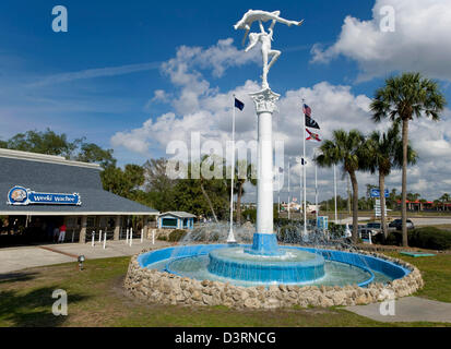 Spring Hill, Florida, US. Feb 23, 2013. Le Mermaid Show à Weeki Wachee Springs a été la base de ''old school'' tourisme Floride depuis 1947. Le théâtre sous-marin, qui détient plusieurs centaines d'invités, est la seule du genre dans le monde.(Image Crédit : Crédit : Brian Cahn/ZUMAPRESS.com/Alamy Live News) Banque D'Images