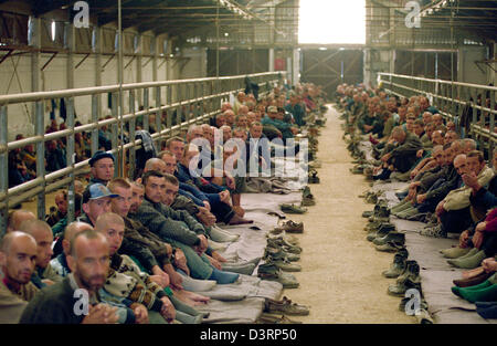 Prisonniers dans le camp de détention, Manjaca, Banja Luka, Bosnie et Herzégovine Banque D'Images