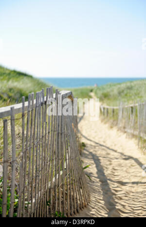 Plage de sable et du chemin menant à la clôture de l'océan, plage de l'île de Nantucket, jetées, MA Banque D'Images