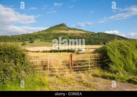 Roseberry Topping, Yorkshire du Nord. Banque D'Images