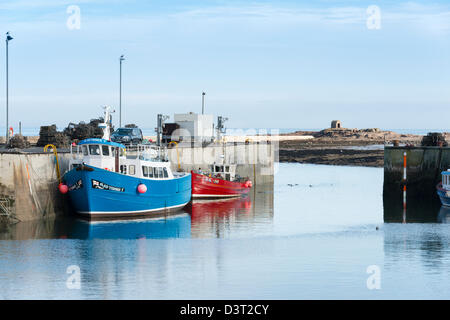 Port de Seahouses Banque D'Images