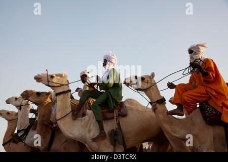 Wodaabes nomades montent leurs chameaux dans le cadre du Gerewol Festival à Ingal, Niger Banque D'Images