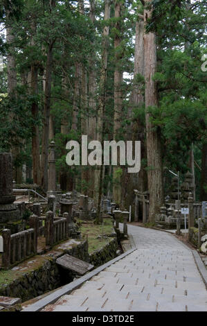 Voie pavée menant au Temple Okunoin cemetery et cèdres géants sur Koyasan (Mont Koya), Wakayama, Japon. Banque D'Images