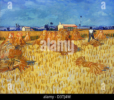 Vincent van Gogh, la récolte de maïs en Provence 1888 Huile sur toile. Musée d'Israël, Jérusalem Banque D'Images